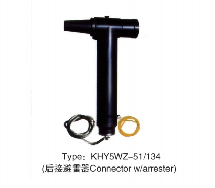 35KV后接避雷器